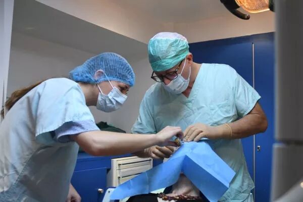 Déchirure et Décollement de la rétine à Strasbourg