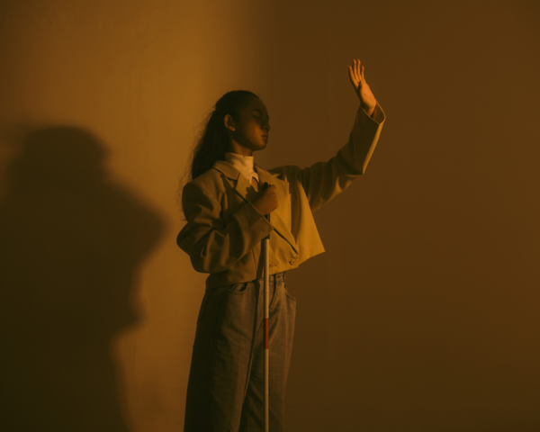 Comprendre la Rétinopathie Pigmentaire